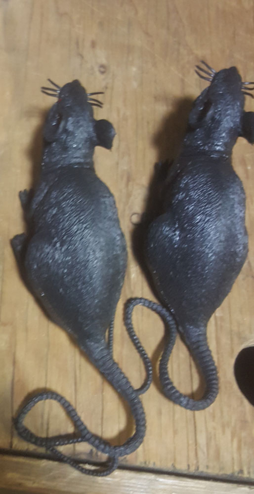 Rats - Black